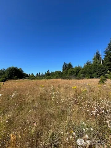a view of lake with green space