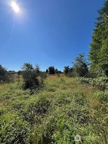 a view of a large building with a mountain in the background