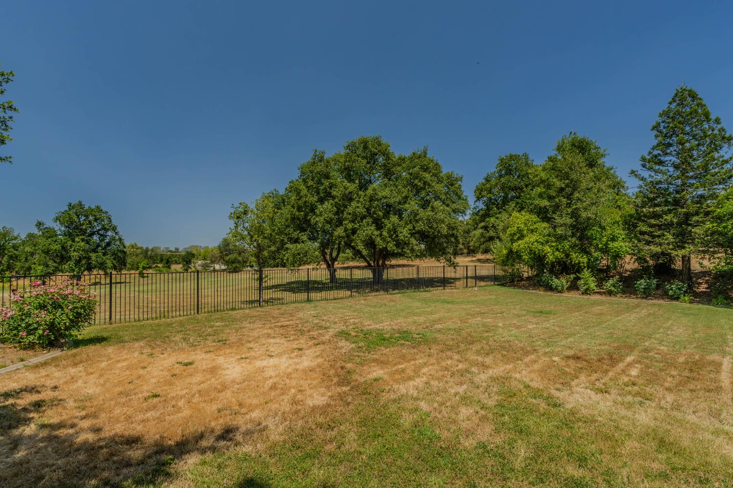 1209 Oak View Drive Ione, CA 95640 - Photo 45 of 48 REAR YARD