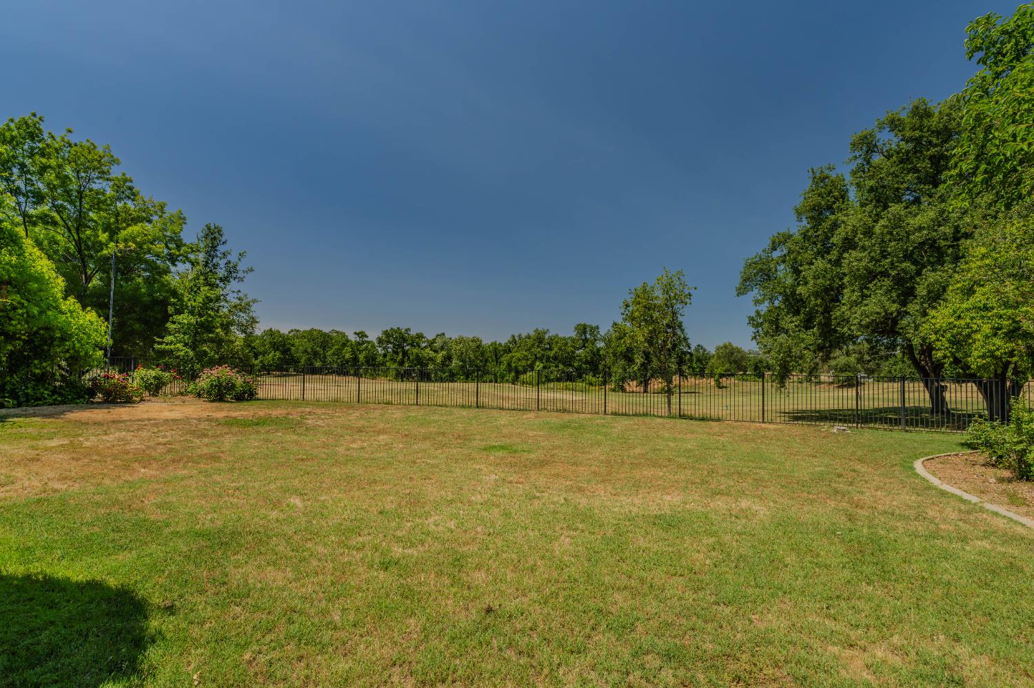 1209 Oak View Drive Ione, CA 95640 - Photo 47 of 48 REAR YARD