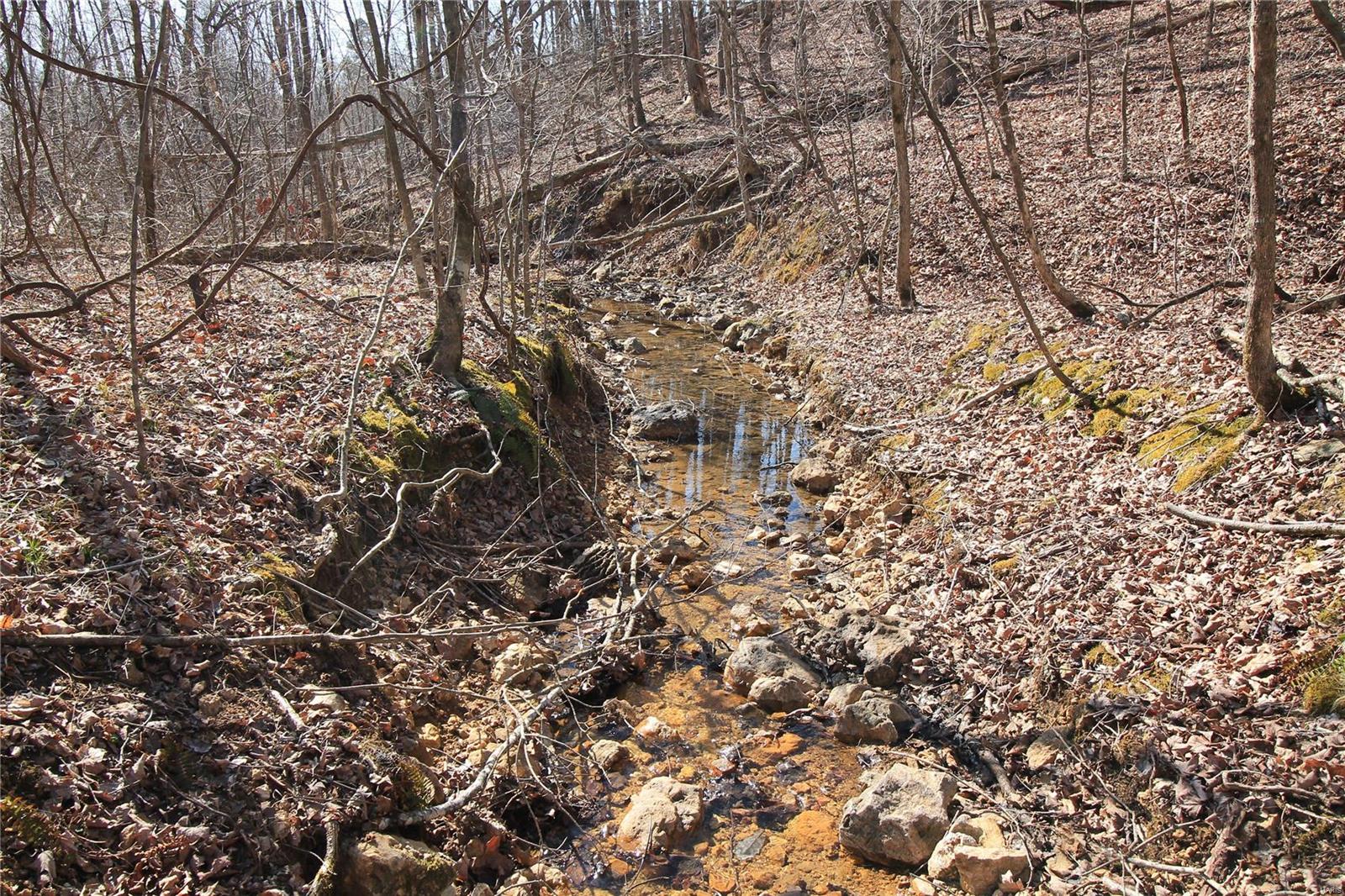 0 Madison Cr Fredericktown, MO 63645 - Photo 3 of 14