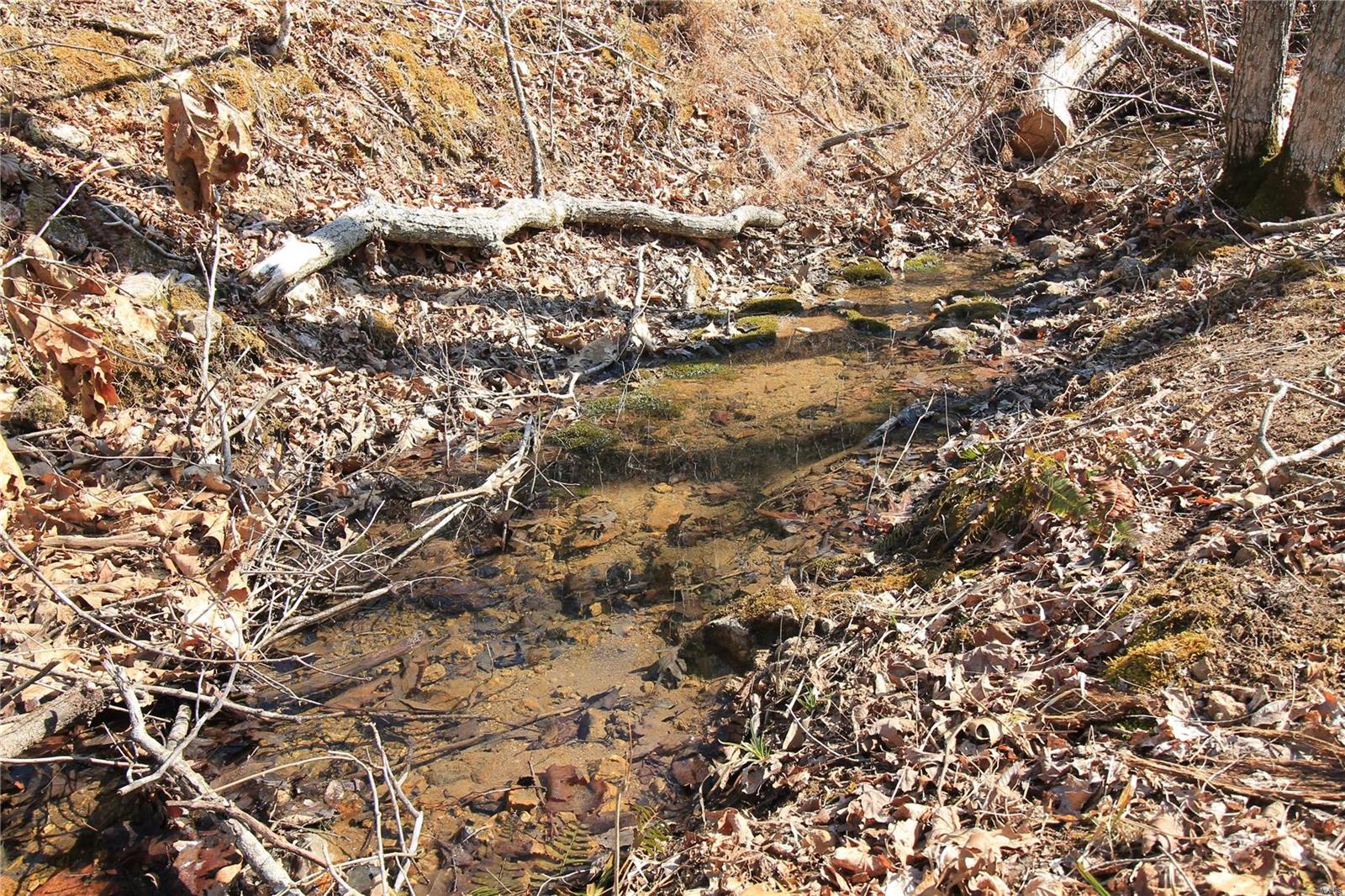 0 Madison Cr Fredericktown, MO 63645 - Photo 4 of 14