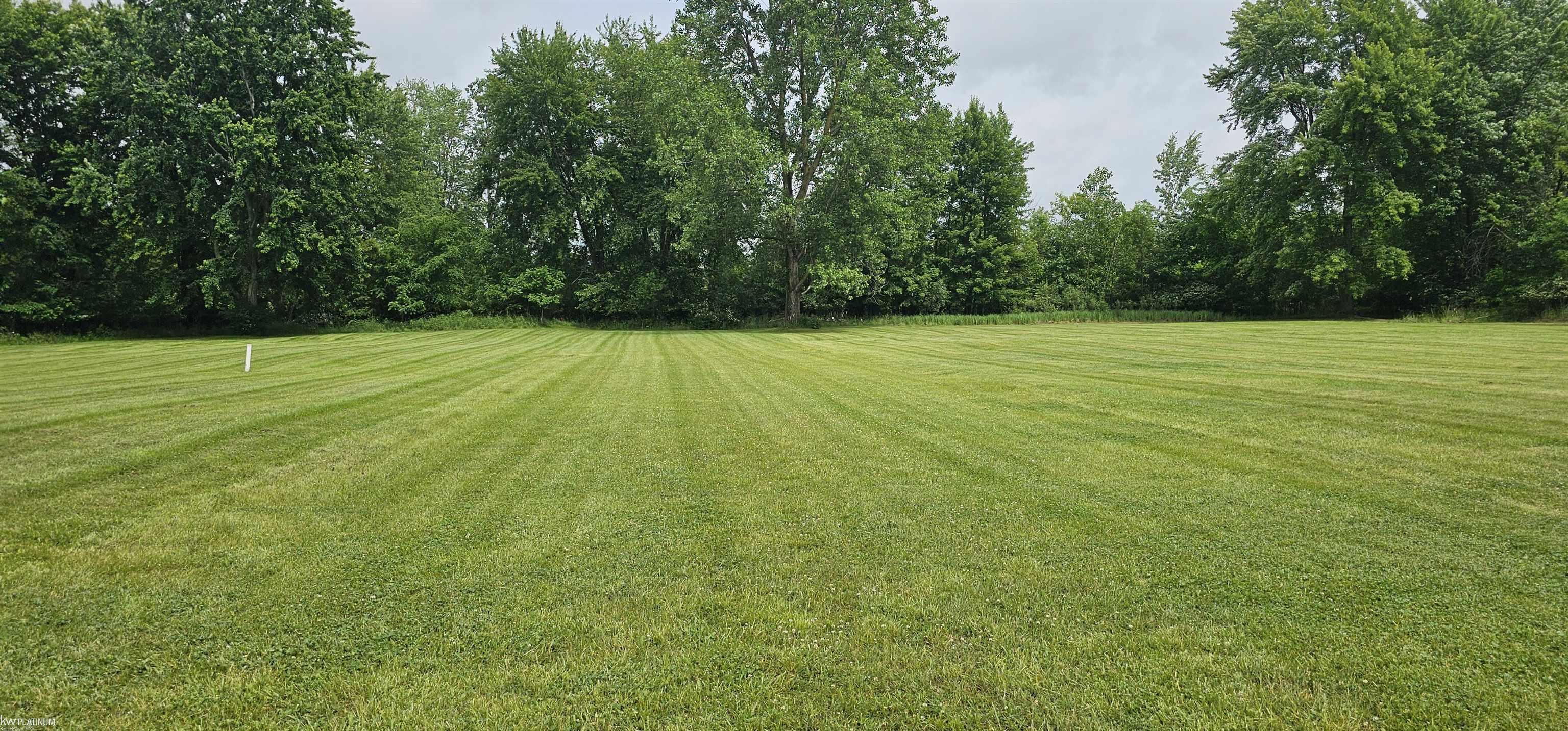 0 Church Street Capac, MI 48014 - Photo 2 of 6