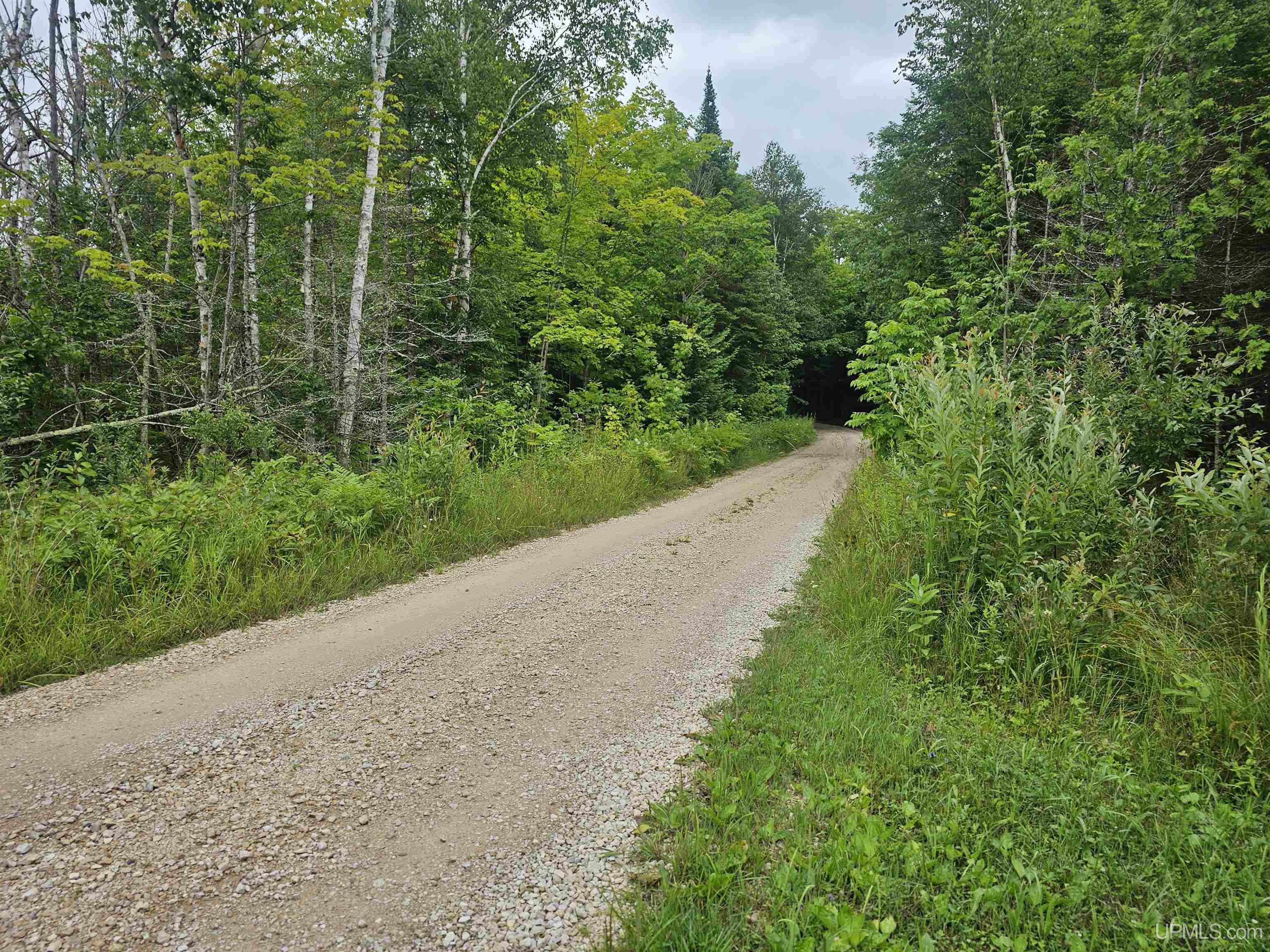 5965 Milakokia Lake Road Gould City, MI 49838 - Photo 26 of 41