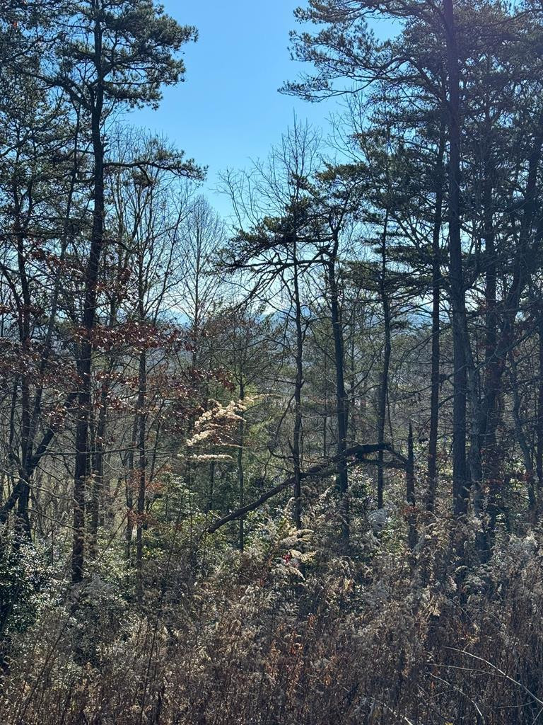 0 Mistletoe Ridge Murphy, NC 28906 - Photo 32 of 34