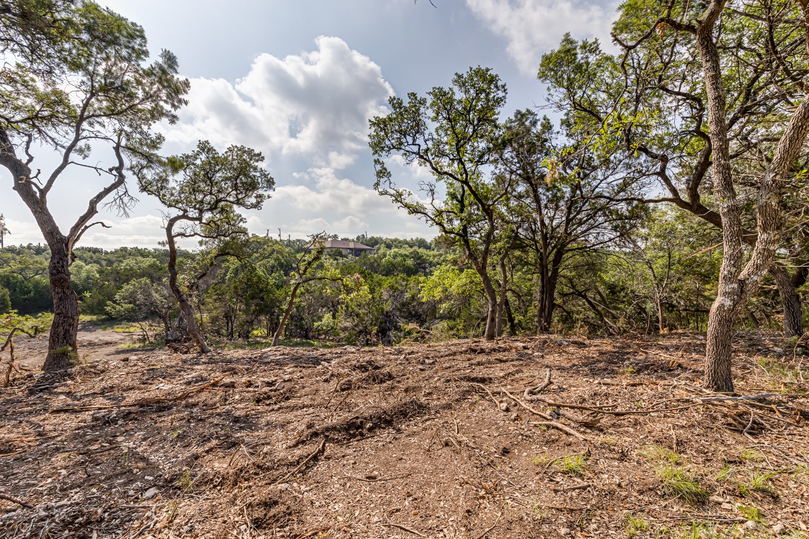 1252 Parton Road Canyon Lake, TX 78133 - Photo 8 of 11 a view of a yard with trees