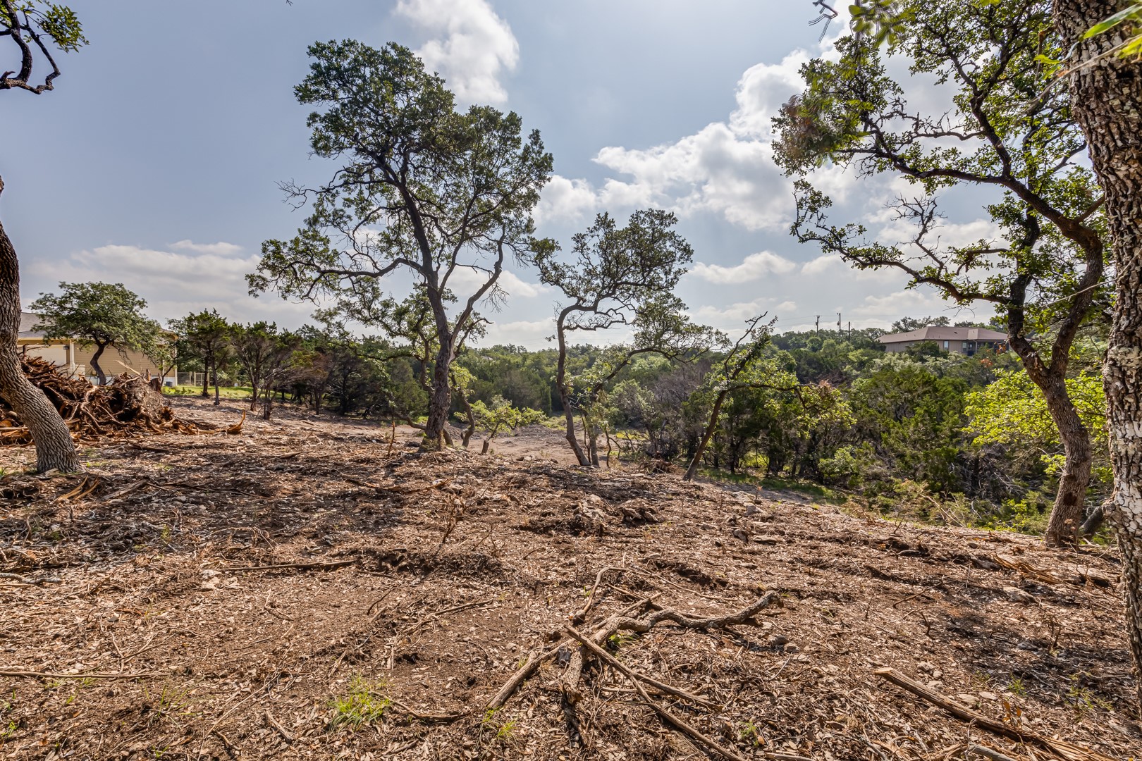1252 Parton Road Canyon Lake, TX 78133 - Photo 9 of 11 a view of a yard with plants and trees