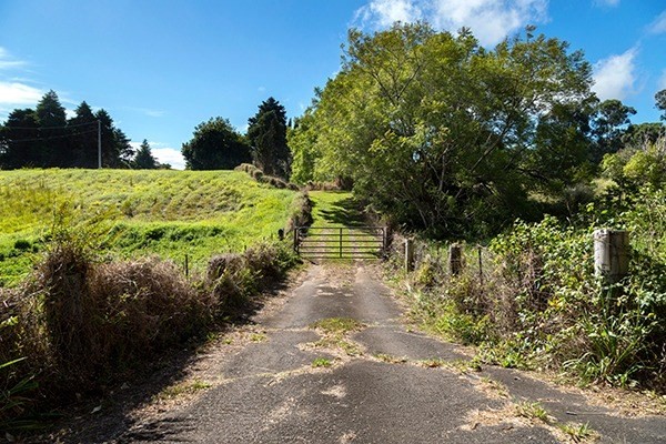 44-3173 Kalaniai Road Honokaa, HI 96727 - Photo 2 of 15 a view of a pathway both side of yard