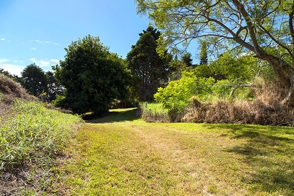 44-3173 Kalaniai Road Honokaa, HI 96727 - Photo 3 of 15 a view of yard with tree in the background