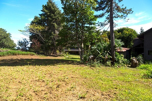 44-3173 Kalaniai Road Honokaa, HI 96727 - Photo 4 of 15 a view of a yard with large trees