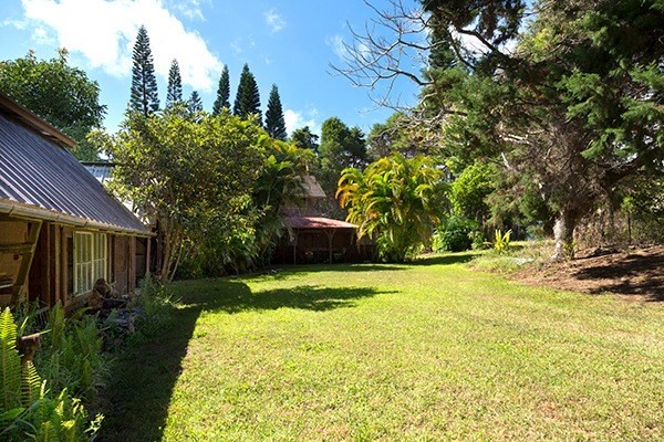44-3173 Kalaniai Road Honokaa, HI 96727 - Photo 9 of 15 a view of a backyard with plants and large trees