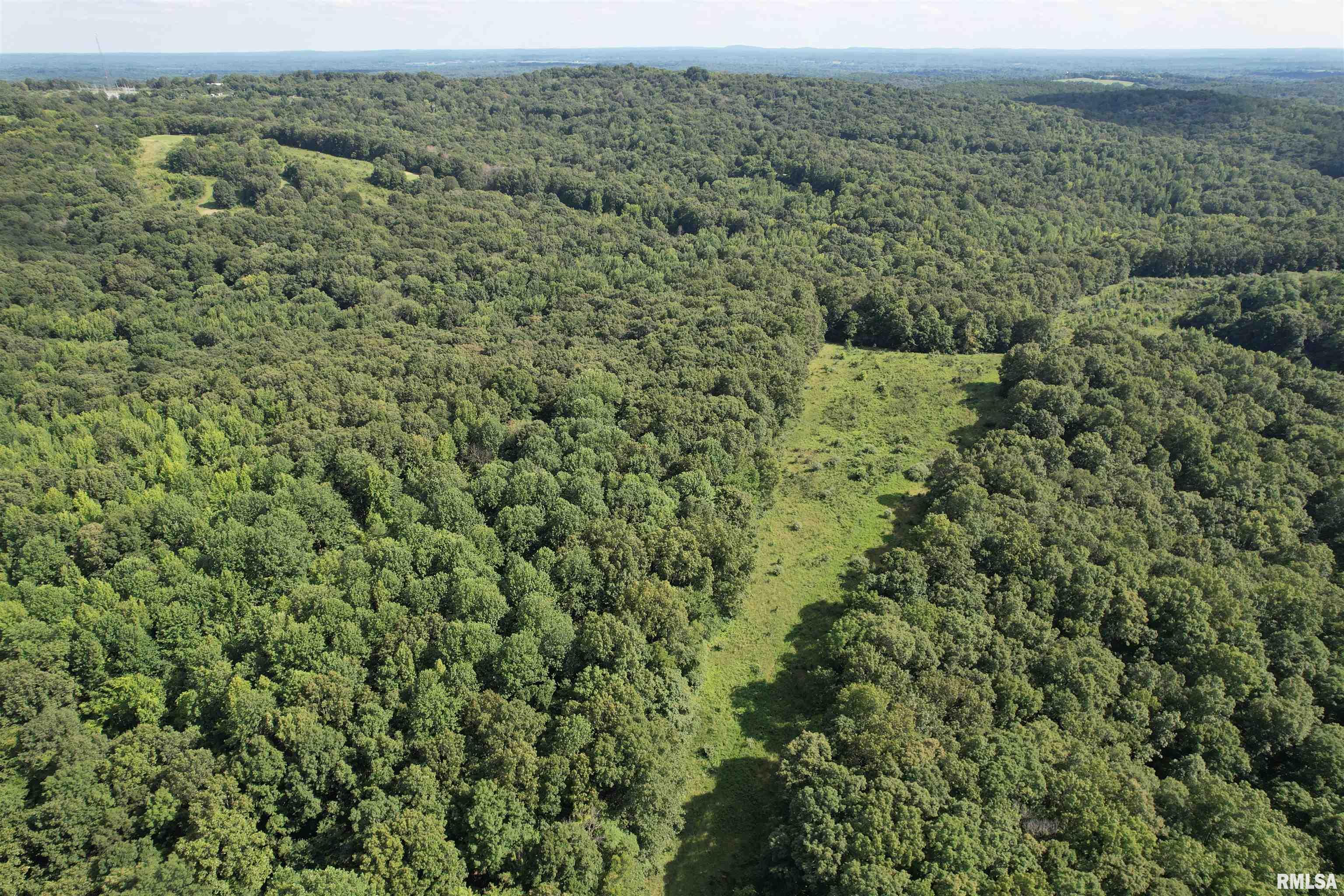 0 Shawnee Hollow Road Elizabethtown, IL 62931 - Photo 12 of 36 Gallery Image 12