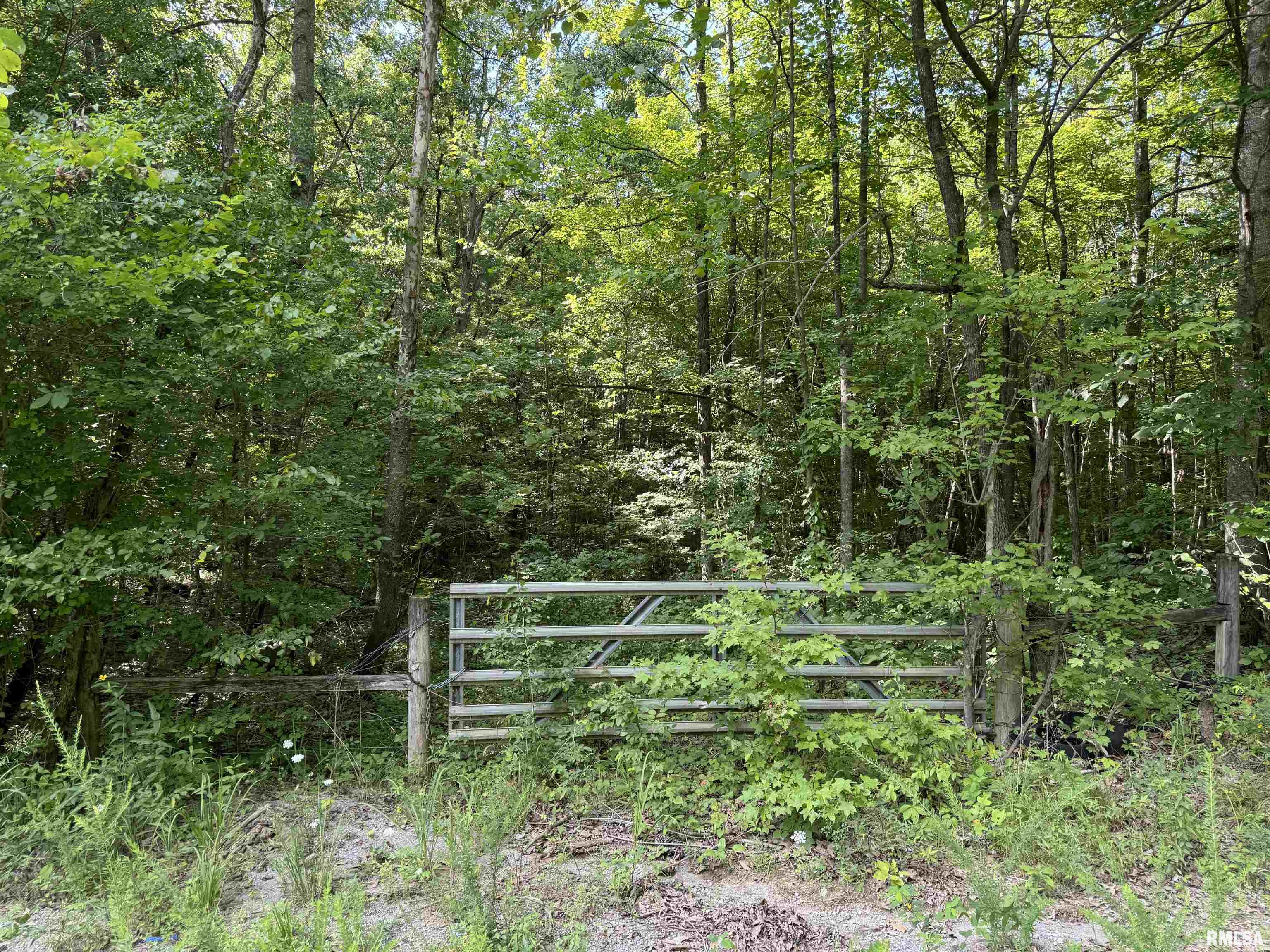 0 Shawnee Hollow Road Elizabethtown, IL 62931 - Photo 35 of 36 Gallery Image 35
