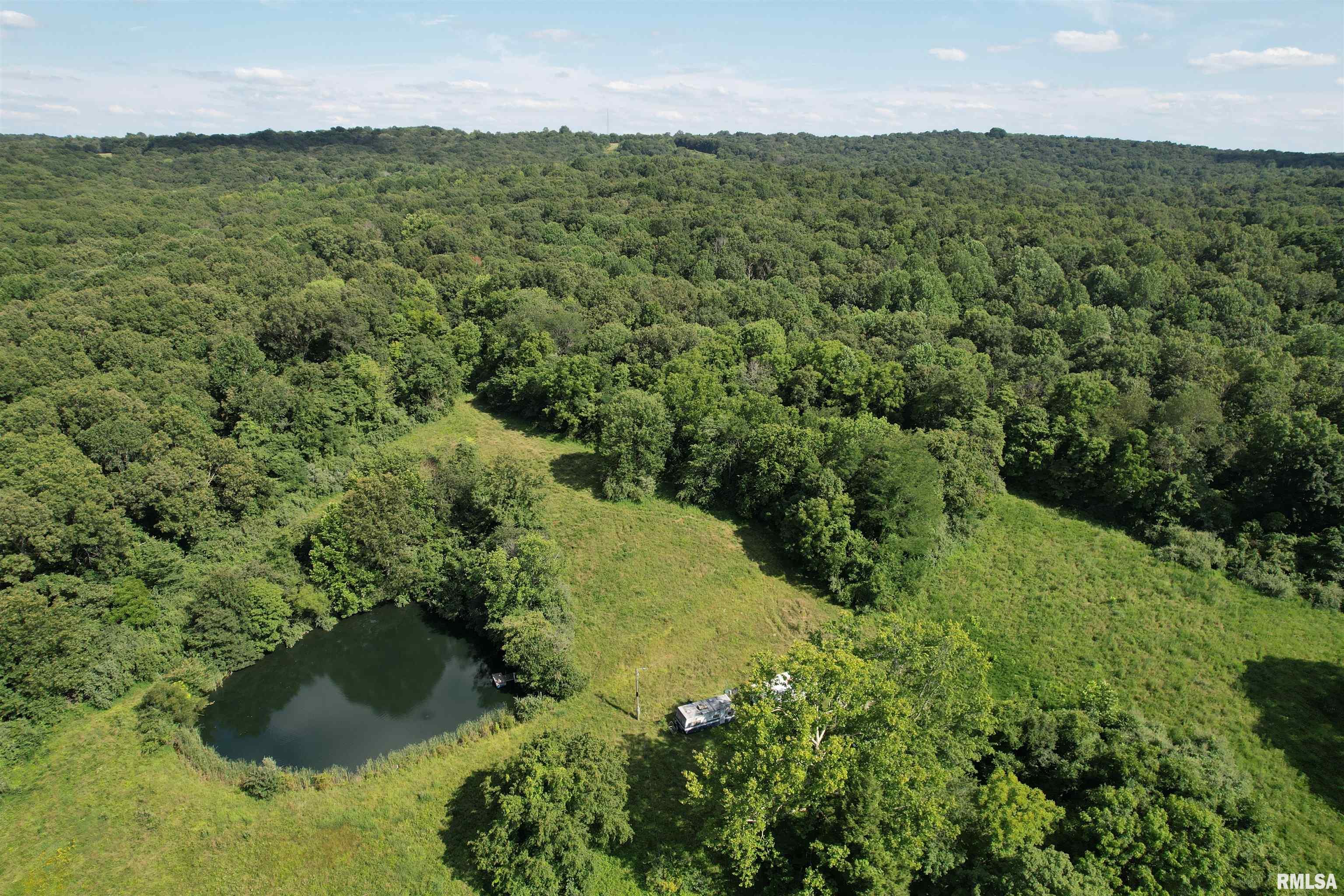 0 Shawnee Hollow Road Elizabethtown, IL 62931 - Photo 4 of 36 Gallery Image 4