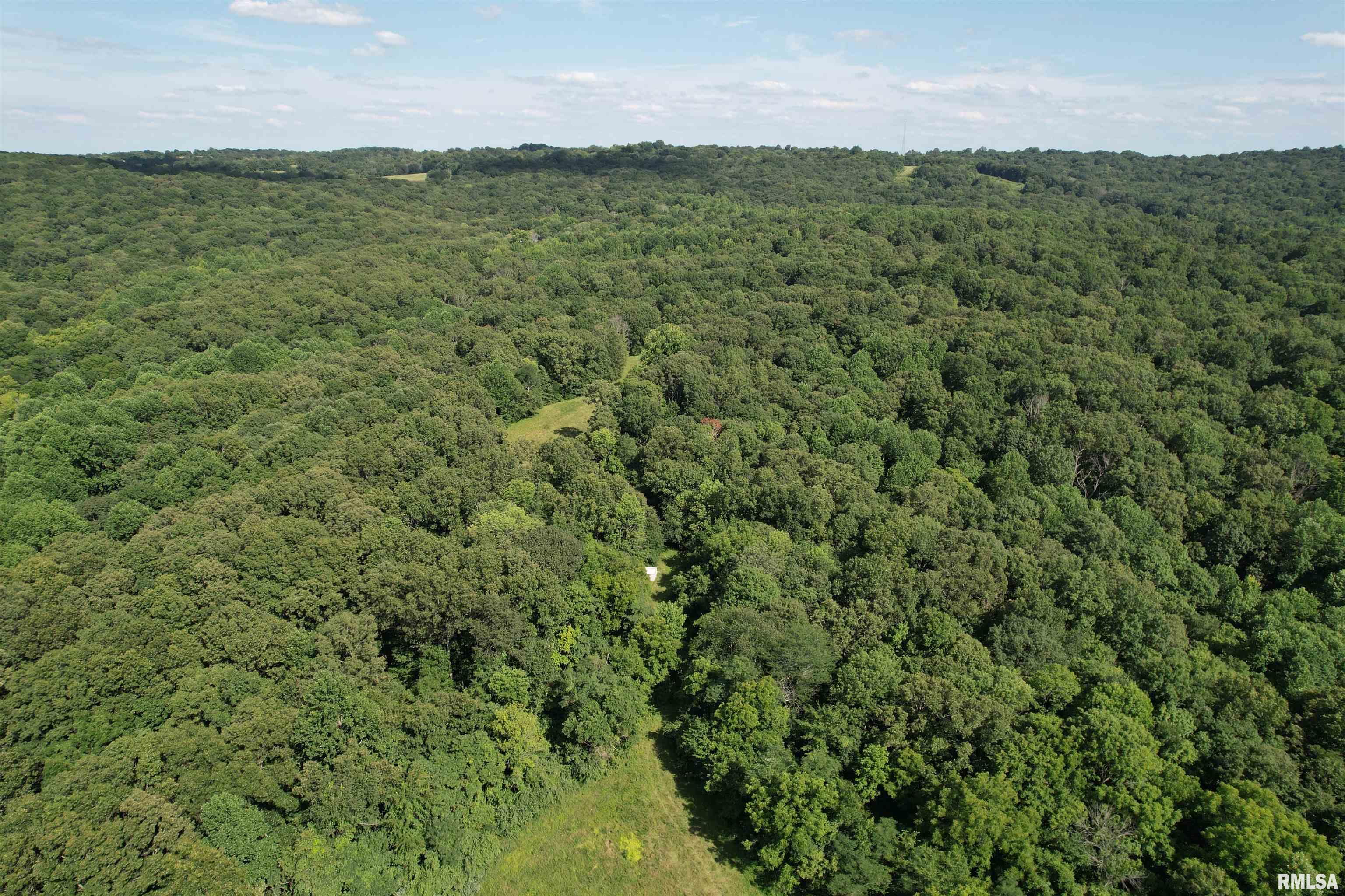 0 Shawnee Hollow Road Elizabethtown, IL 62931 - Photo 5 of 36 Gallery Image 5