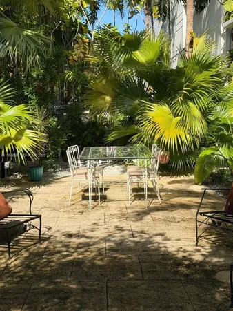 a view of a yard with plants