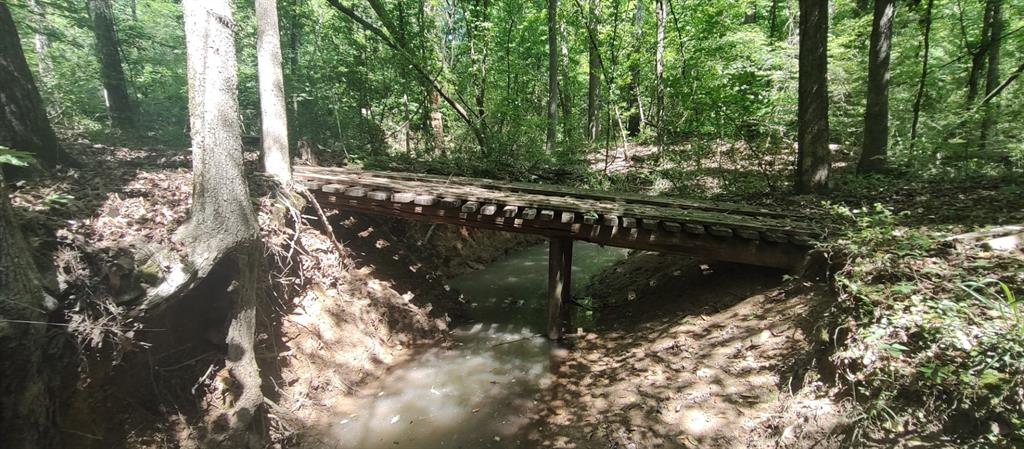 a view of swimming pool with a garden