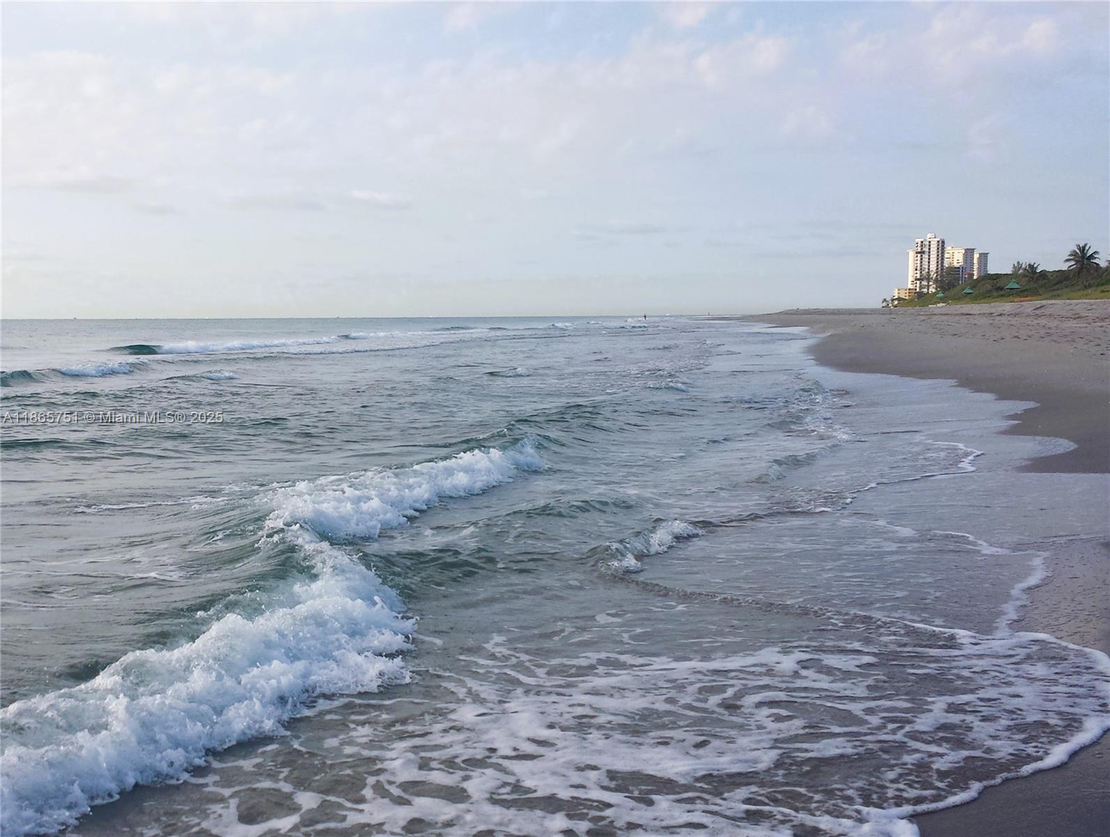 931 Northeast 4th Street, Unit 2 Boca Raton, FL 33432 - Photo 13 of 16 a view of ocean view with beach