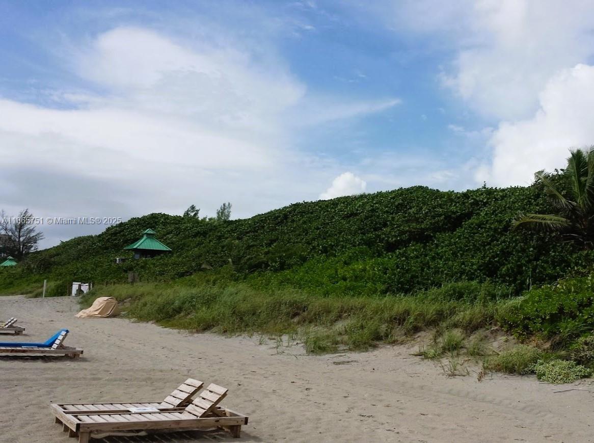 931 Northeast 4th Street, Unit 2 Boca Raton, FL 33432 - Photo 14 of 16 a view of a backyard with green space