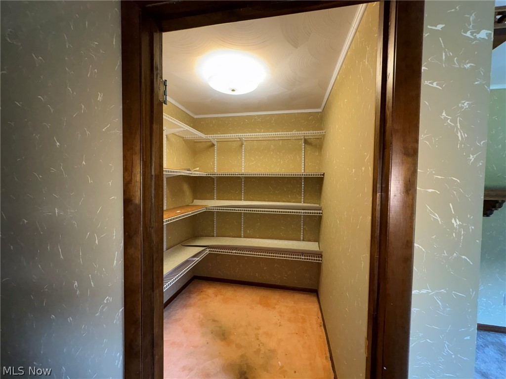 6308 Coen Road Vermilion, OH 44089 - Photo 15 of 40 big pantry