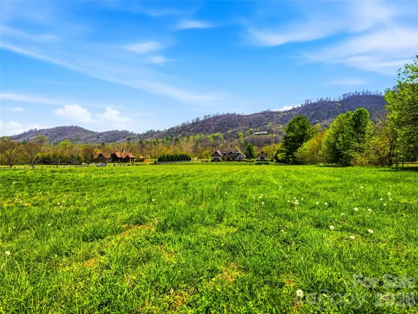 a view of a lush green hillside and houses
