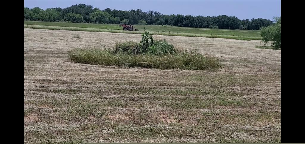 19069 Highway 6 Carbon, TX 76435 - Photo 5 of 15 Hay pasture cutting