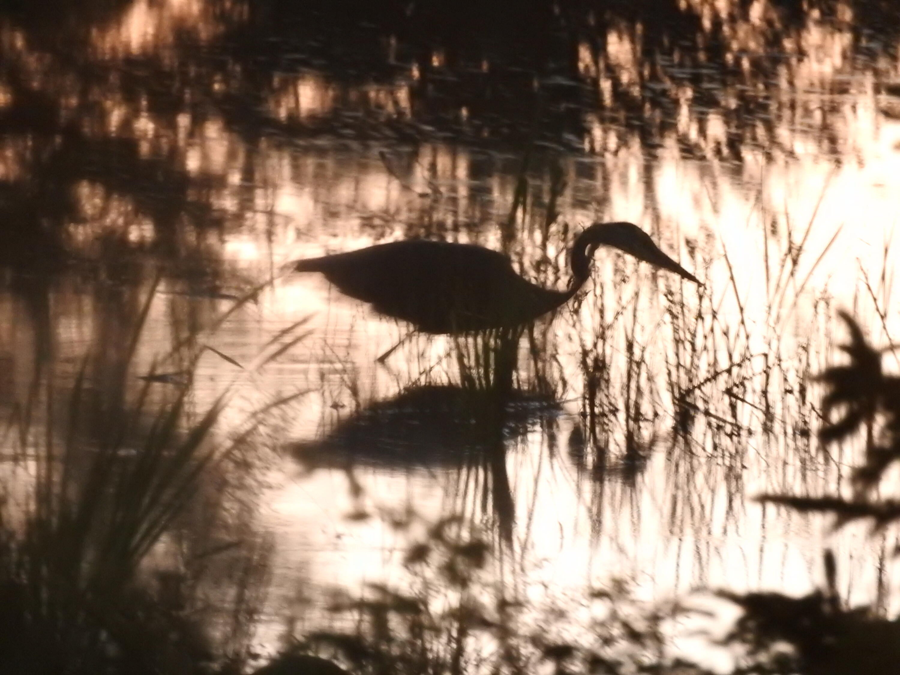7067 Albany Point Road Presque Isle, MI 49777 - Photo 65 of 65 Gallery Image 65