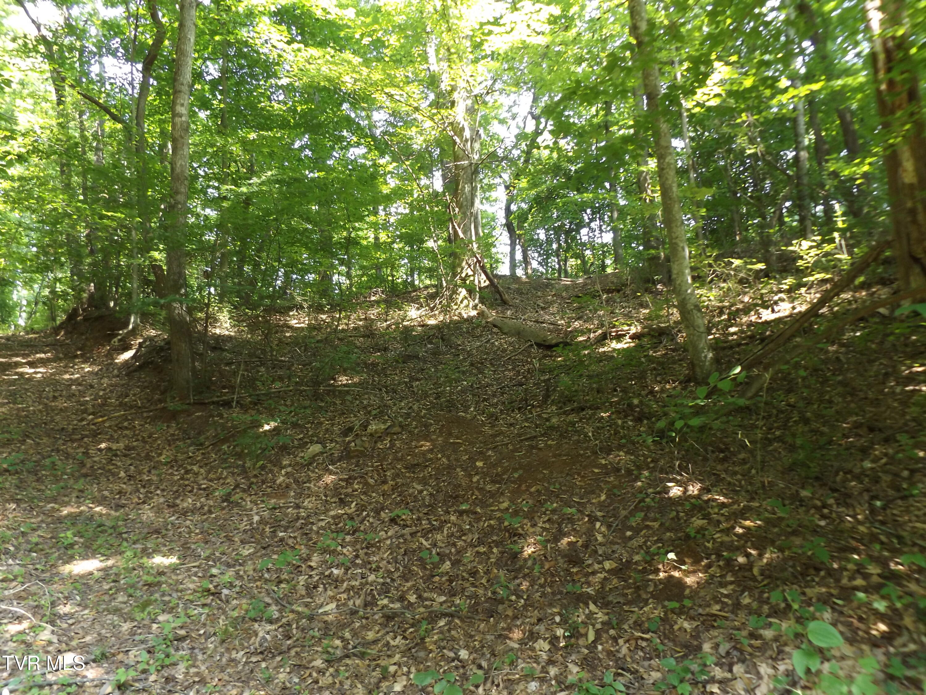 Tbd Rome Hollow Road Elizabethton, TN 37643 - Photo 11 of 15 DSCF8077