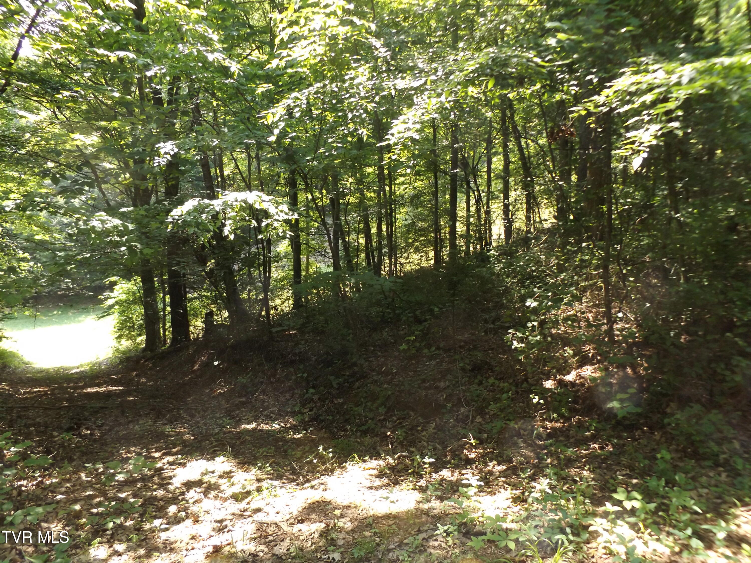 Tbd Rome Hollow Road Elizabethton, TN 37643 - Photo 14 of 15 DSCF8083