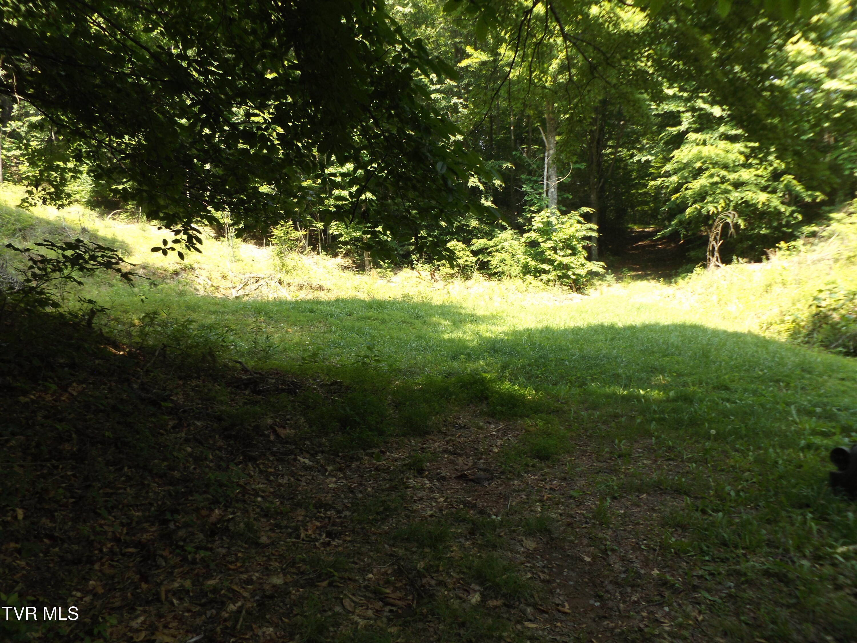 Tbd Rome Hollow Road Elizabethton, TN 37643 - Photo 9 of 15 DSCF8075