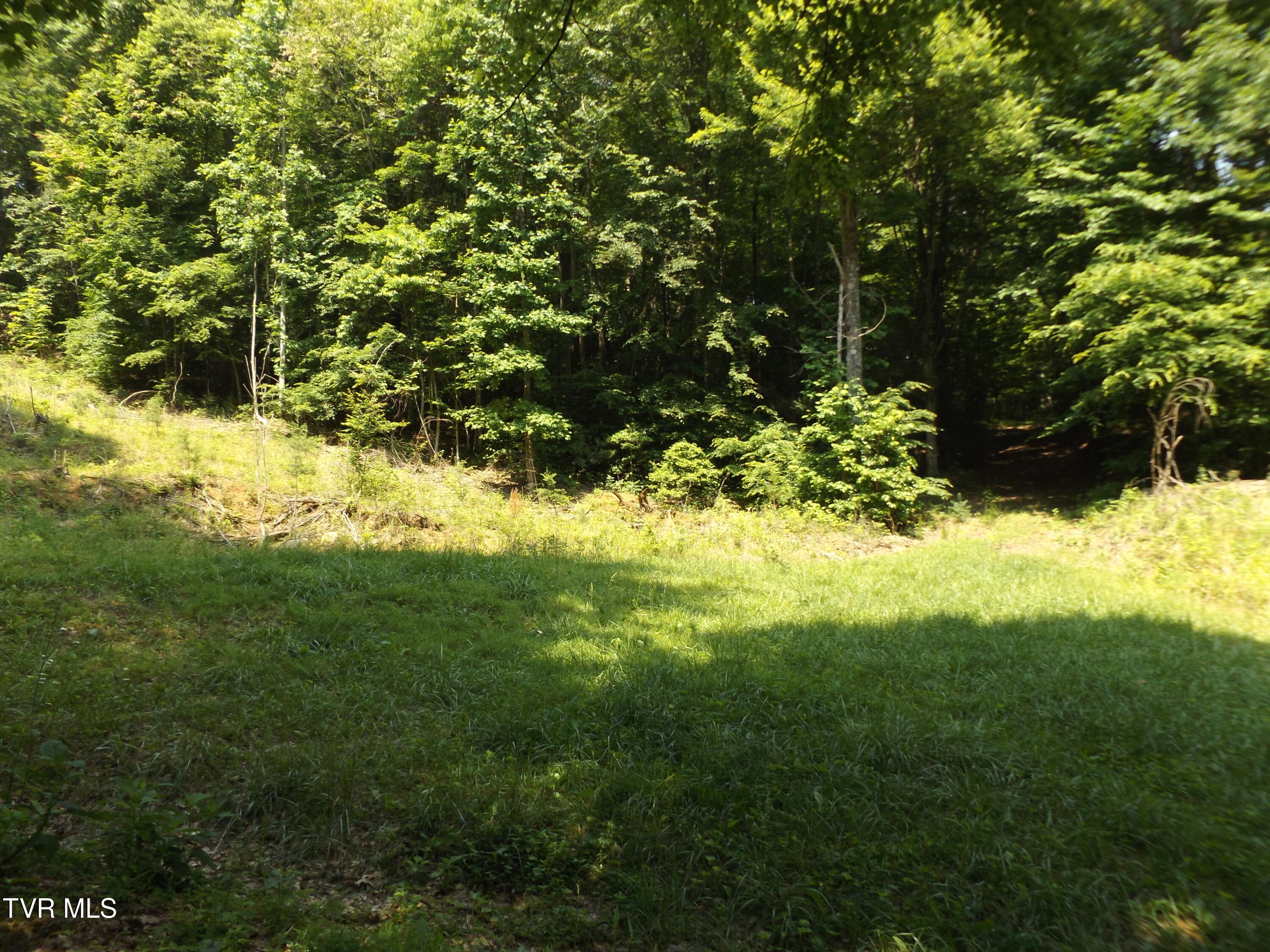 Tbd Rome Hollow Road Elizabethton, TN 37643 - Photo 10 of 15 DSCF8076