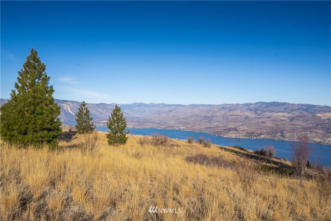 272 Hawks Ridge Road Chelan, WA 98816 - Photo 5 of 25 Gallery Image 5