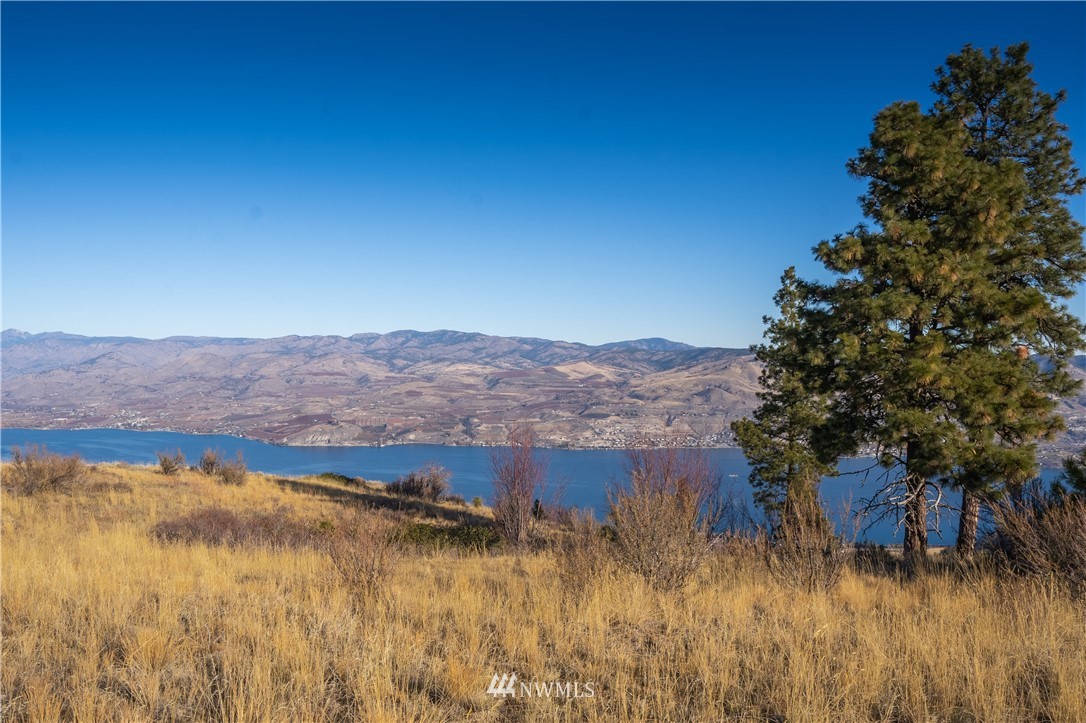 272 Hawks Ridge Road Chelan, WA 98816 - Photo 6 of 25 Gallery Image 6