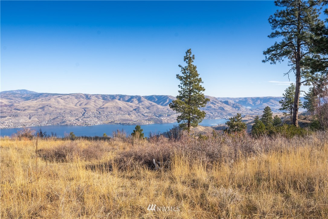 272 Hawks Ridge Road Chelan, WA 98816 - Photo 7 of 25 Gallery Image 7