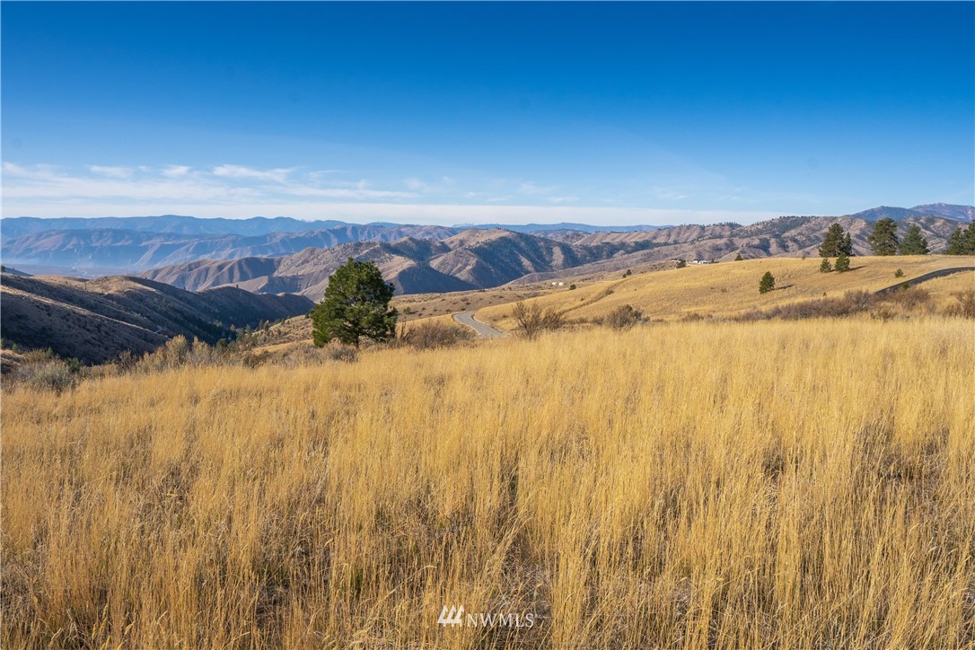 272 Hawks Ridge Road Chelan, WA 98816 - Photo 9 of 25 Gallery Image 9