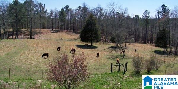 425 County Road 773 Cullman, AL 35055 - Photo 16 of 18