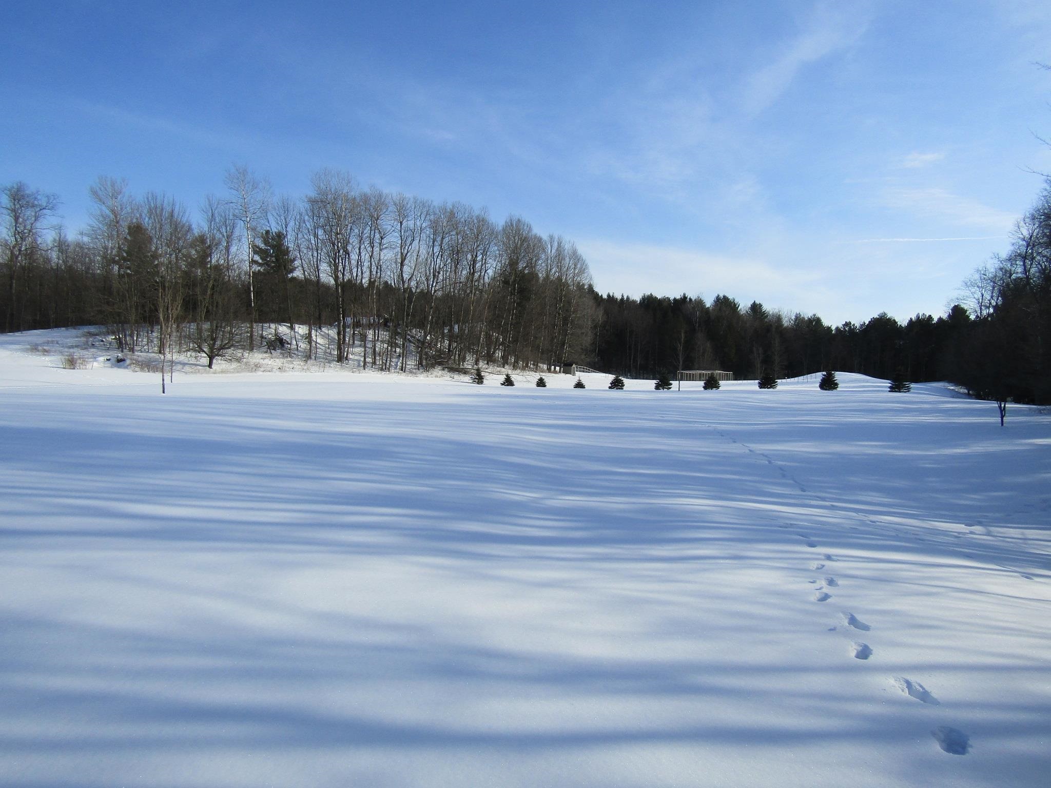 1505 Witchcat Road Bakersfield, VT 05450 - Photo 39 of 40