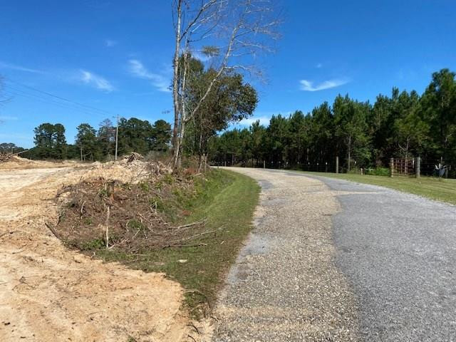 Tbd Miller Road Columbia, MS 39429 - Photo 1 of 10 Main View