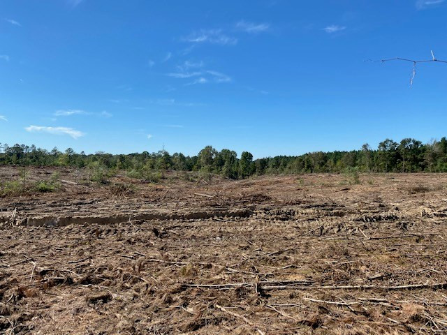 Tbd Miller Road Columbia, MS 39429 - Photo 3 of 10 Photo 3