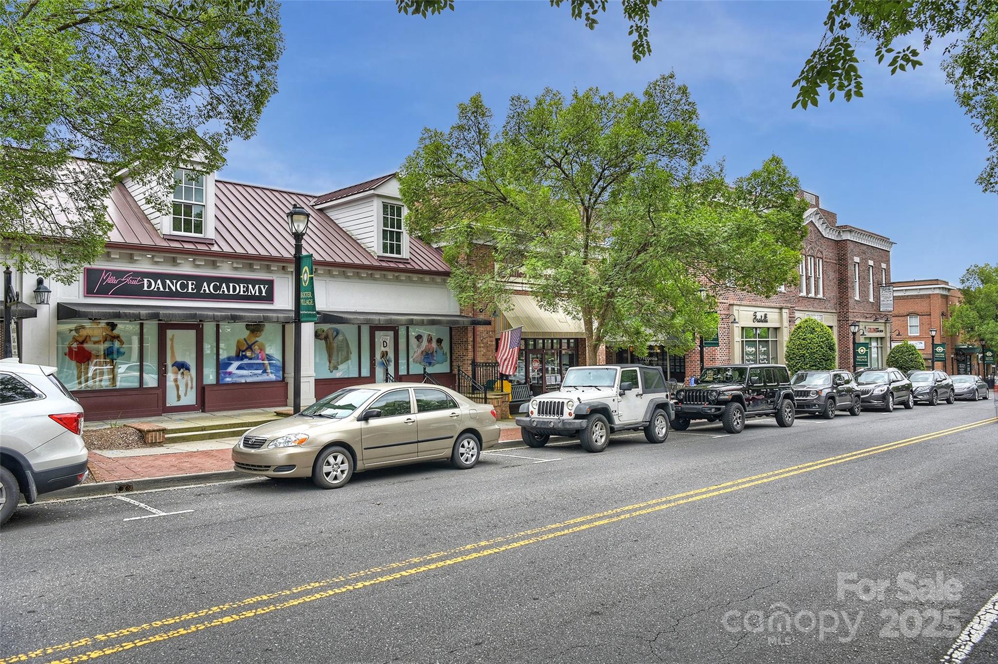 142 Mills Lane Fort Mill, SC 29708 - Photo 43 of 47