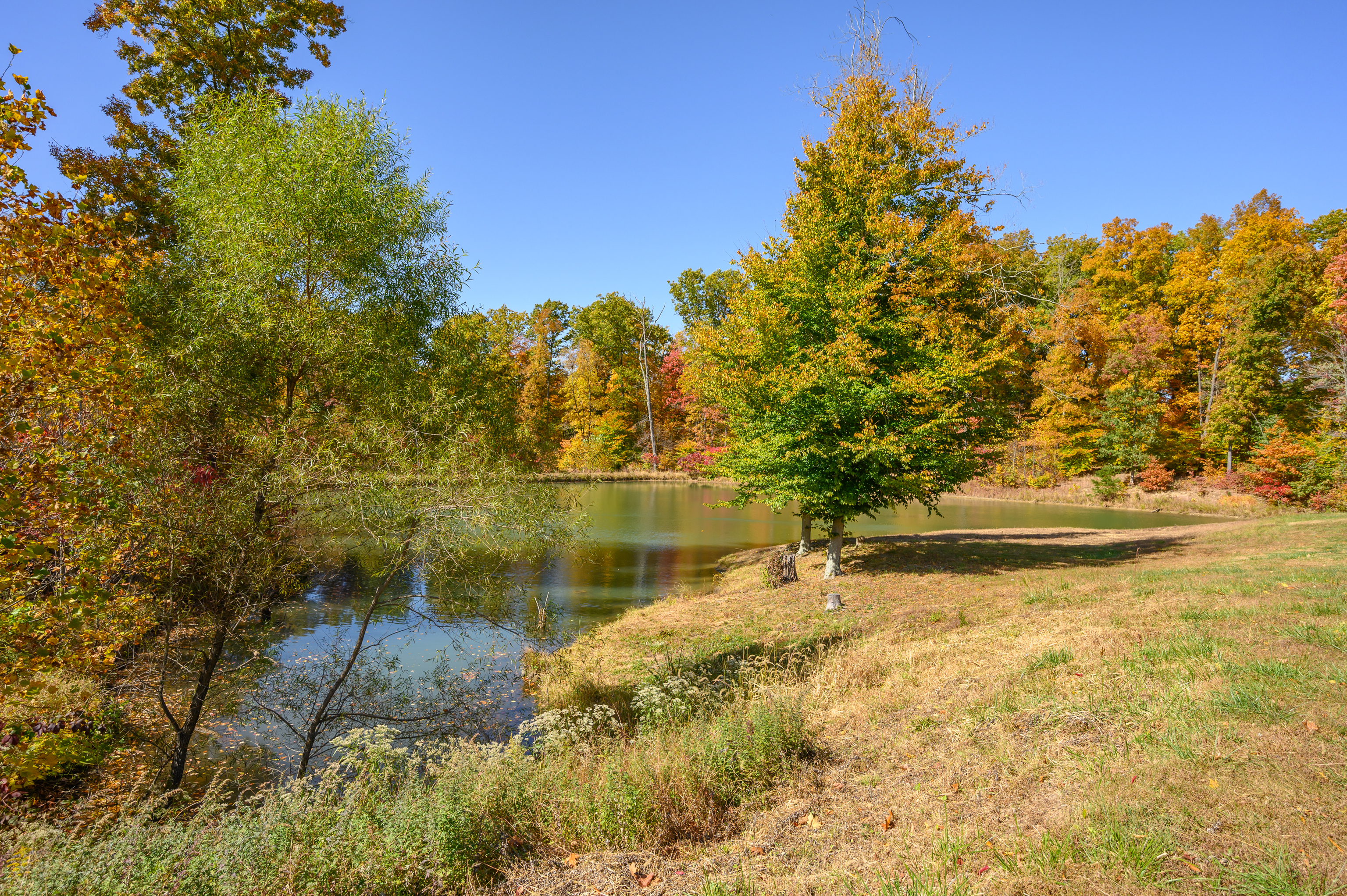 6620 Sprunica Ridge Road Trafalgar, IN 46181 - Photo 44 of 59 Gallery Image 44