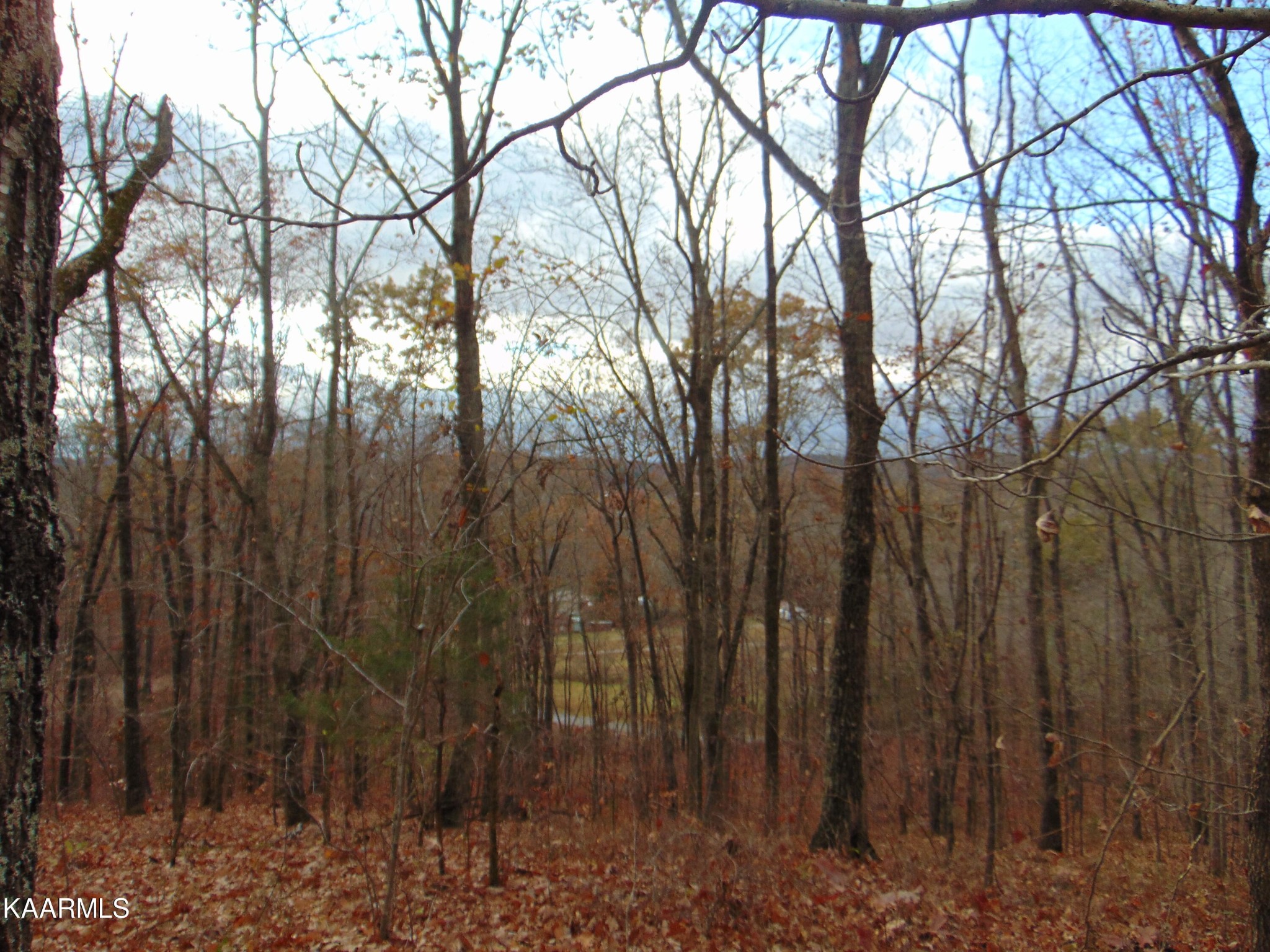 1056 County Road 179 Decatur, TN 37322 - Photo 21 of 24
