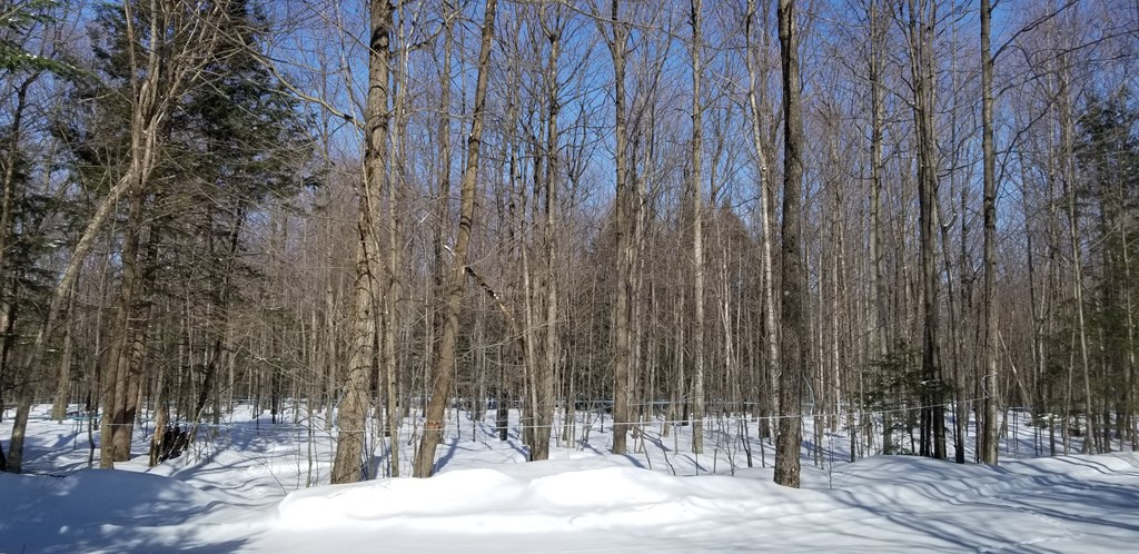 11 State Route Burke, NY 12917 - Photo 8 of 50