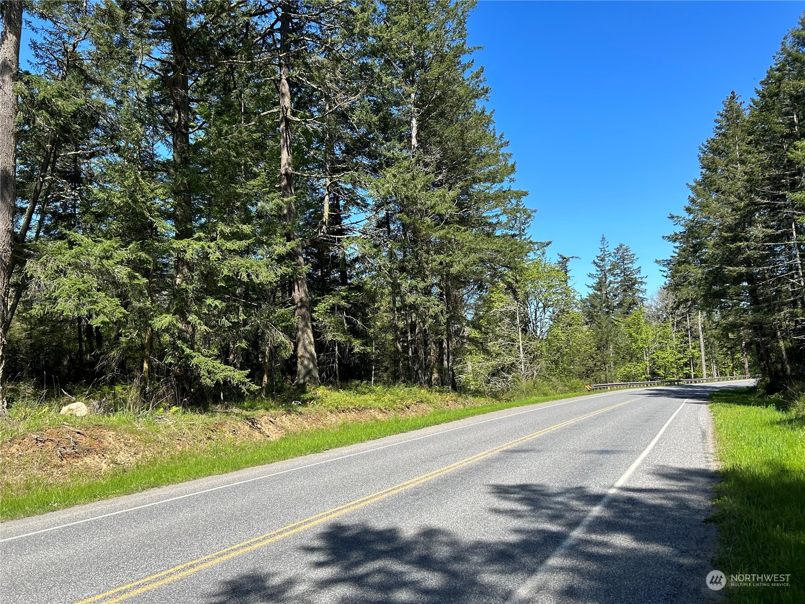 X Orcas Road Orcas Island, WA 98245 - Photo 2 of 11 a view of a yard with a trees