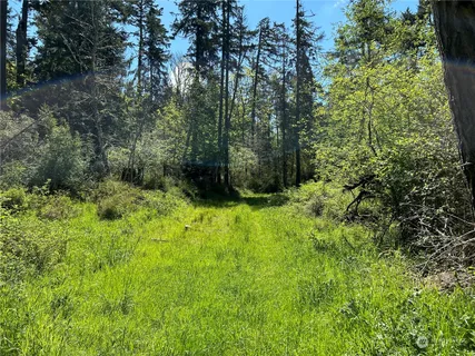a view of outdoor space and trees all around