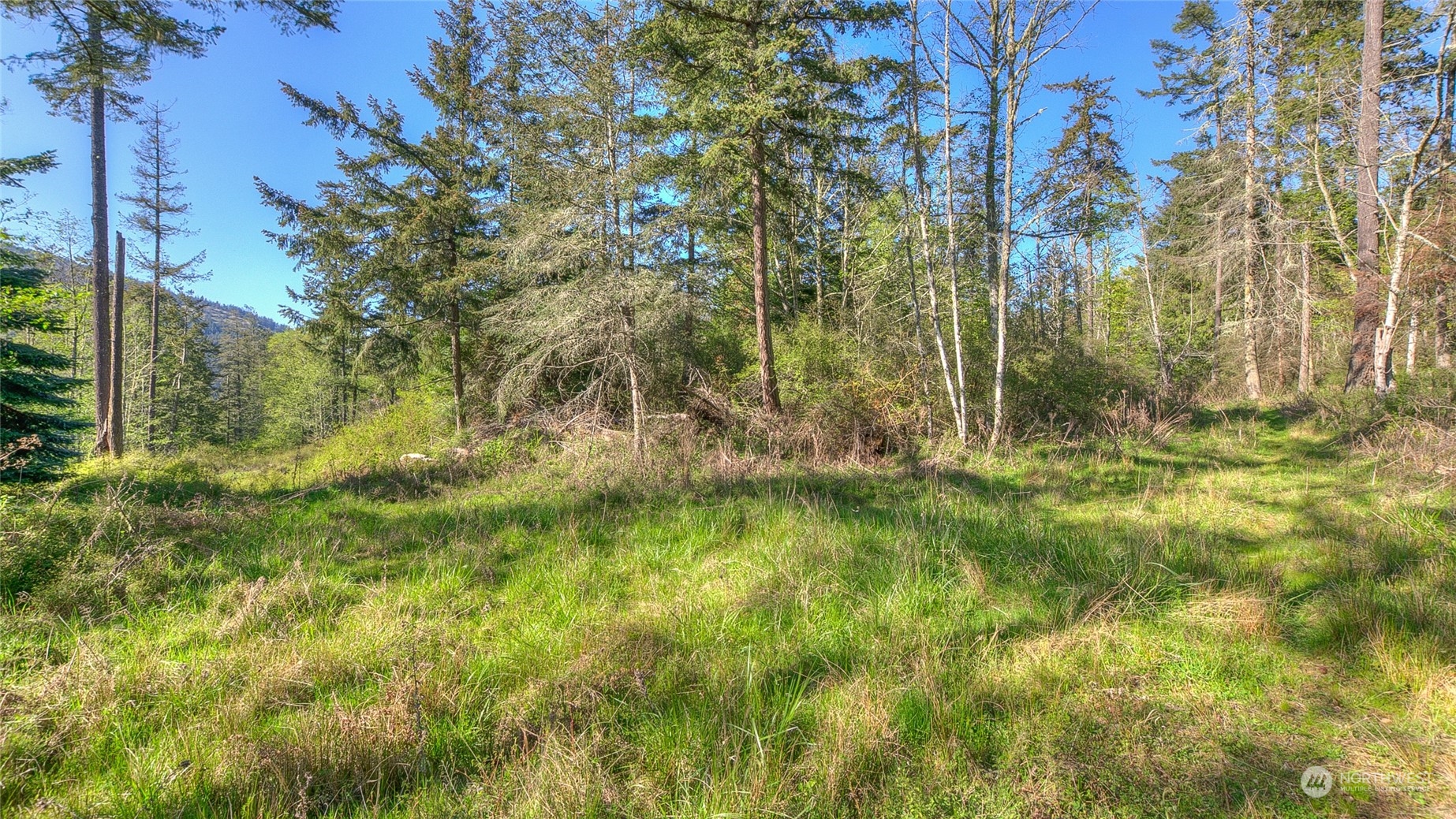 X Orcas Road Orcas Island, WA 98245 - Photo 8 of 11