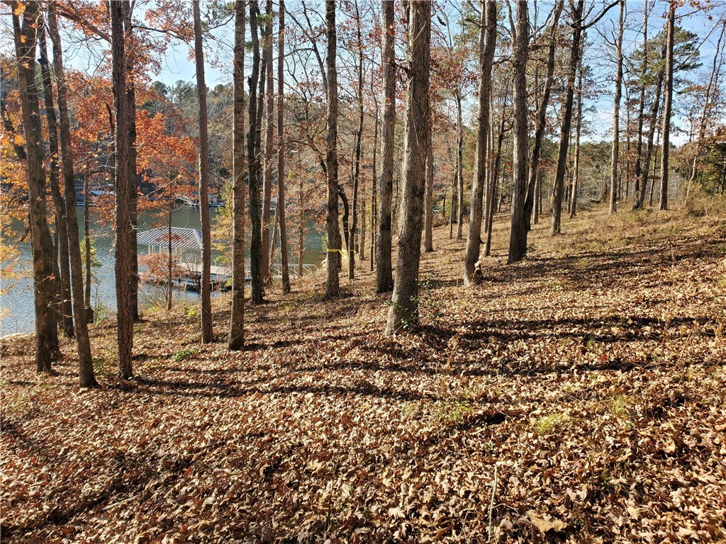 Lot # Clear Point Trail Seneca, SC 29672 - Photo 9 of 15 Gallery Image 9