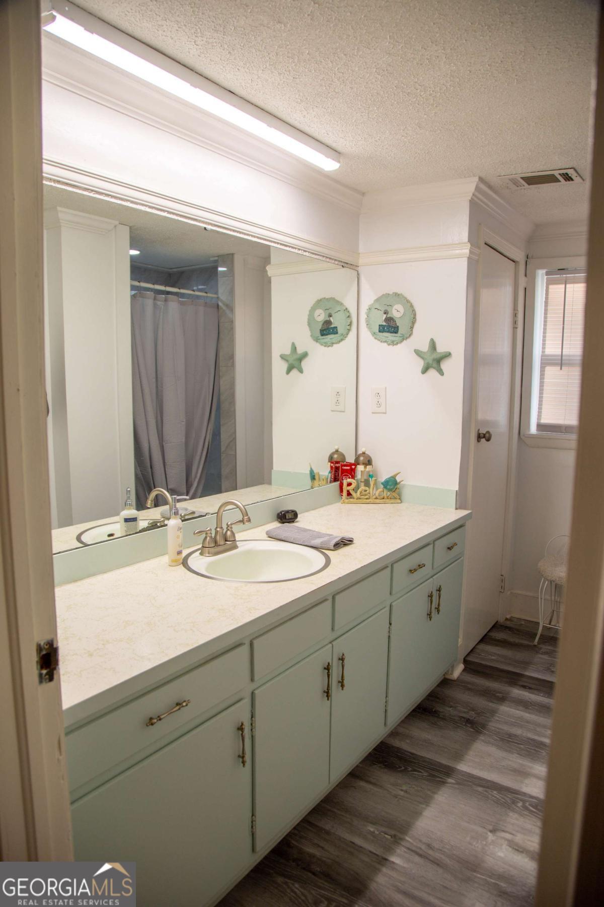1758 Easons Bluff Road Baxley, GA 31513 - Photo 33 of 50 a bathroom with a double vanity sink and a mirror