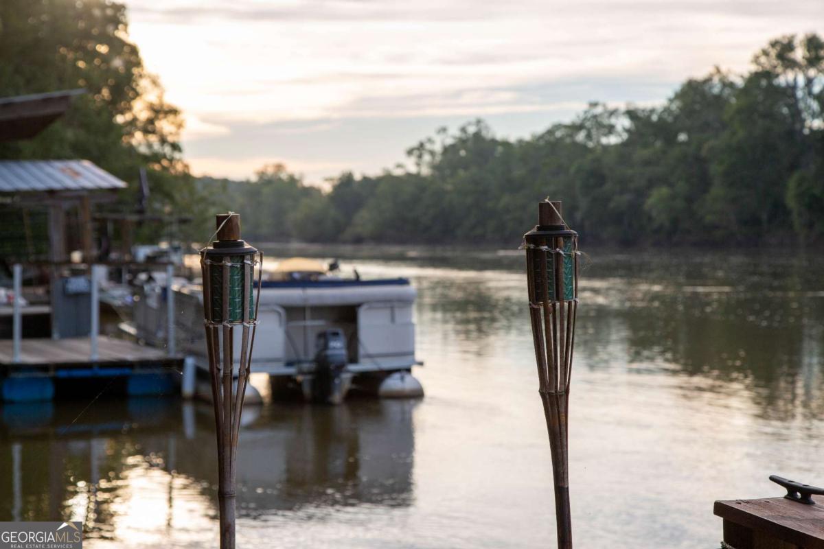 1758 Easons Bluff Road Baxley, GA 31513 - Photo 44 of 50 a lake view with a lake view