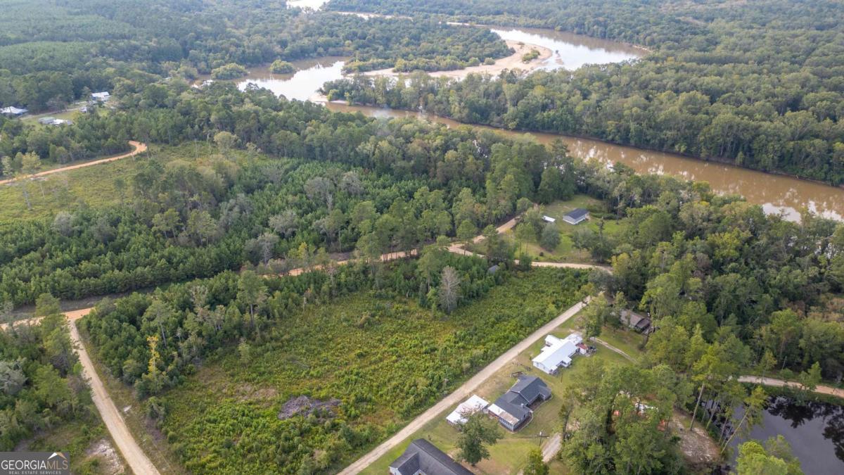 1758 Easons Bluff Road Baxley, GA 31513 - Photo 7 of 50 a view of a forest from a balcony